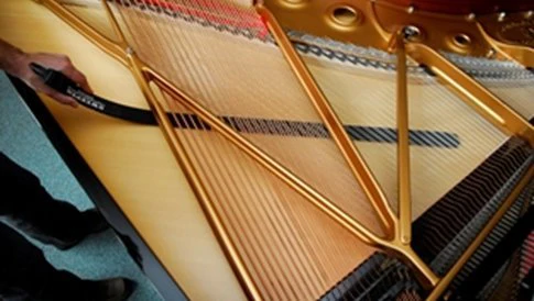 Grand Piano Soundboard Duster Sweeper Cleaner